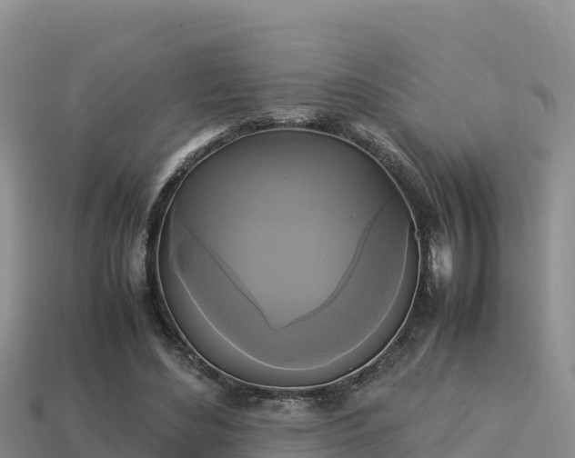 X0000113220492200909171558