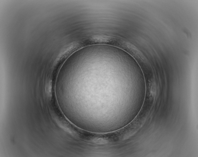 X0000113220494200909171558