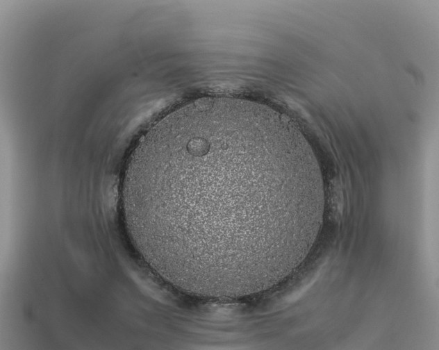 X0000113220495200909171558