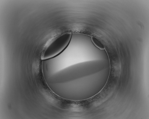 X0000113220496200909171558