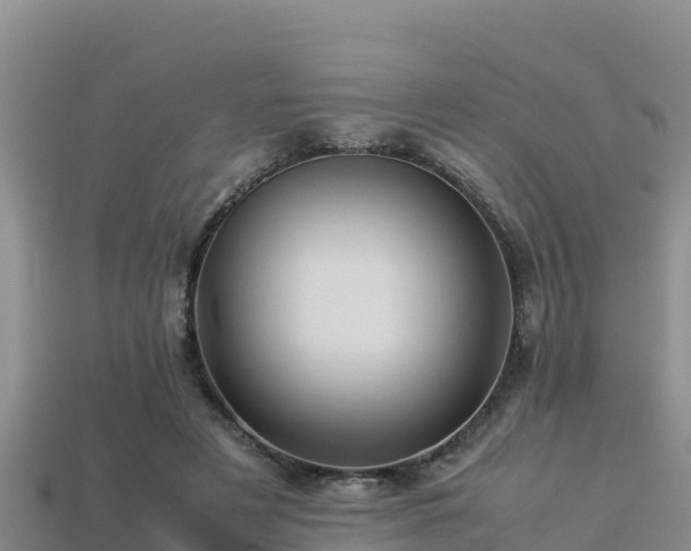 X0000113220497200909171558