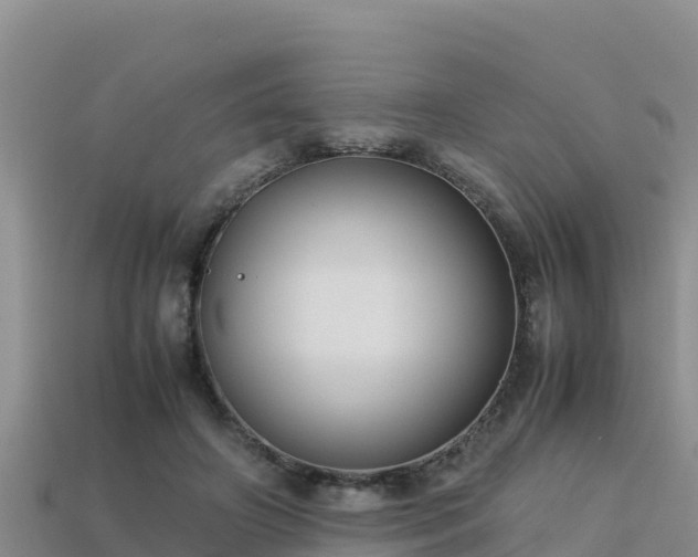 X0000113220498200909171558