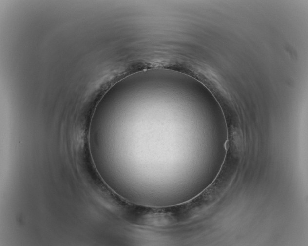 X0000113220499200909171558