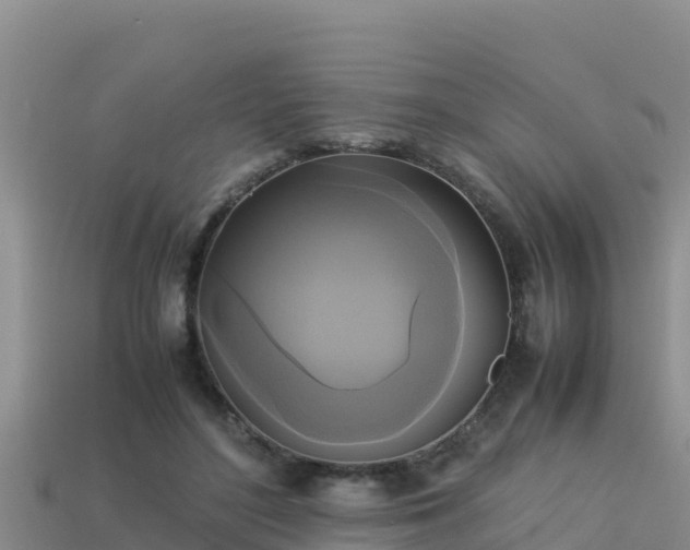 X0000113220500200909171558