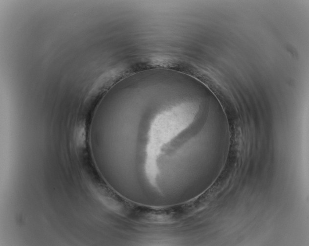 X0000113220502200909171558