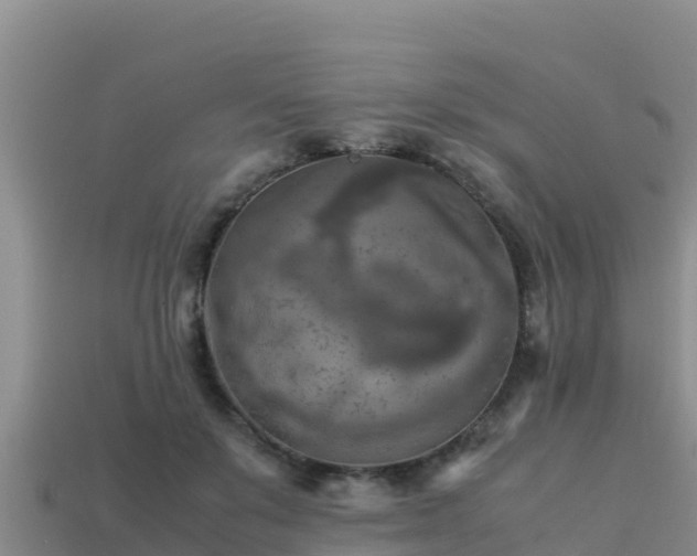 X0000113220503200909171558