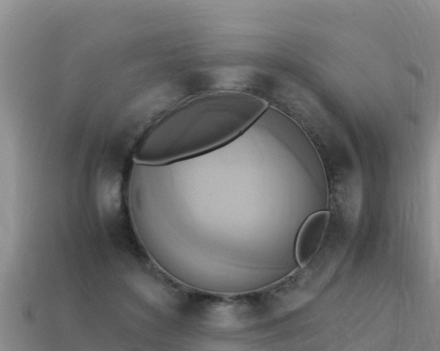 X0000113220504200909171558