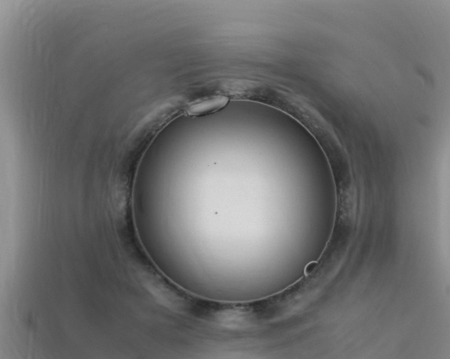 X0000113220505200909171558