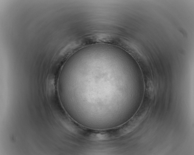 X0000113220506200909171558