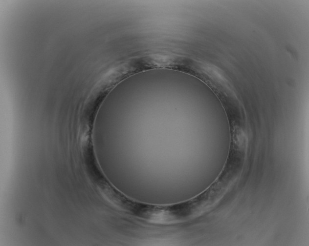 X0000113220507200909171558