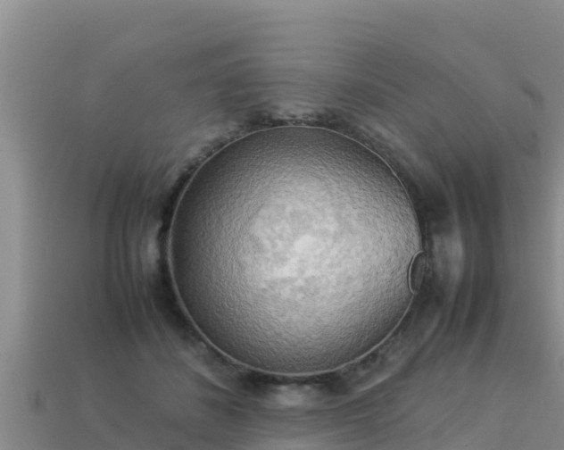 X0000113220508200909171558