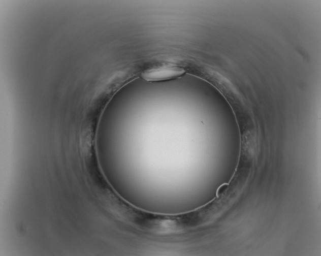 X0000113220509200909171558