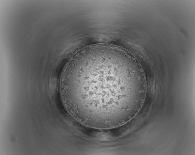 X0000113220511200909171558