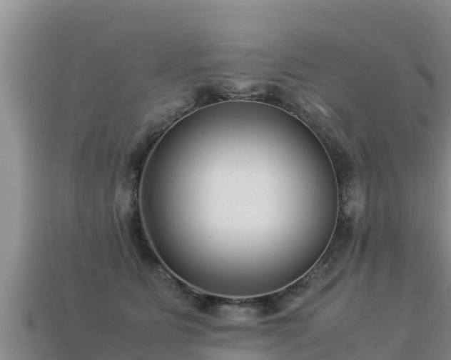 X0000113220515200909171557