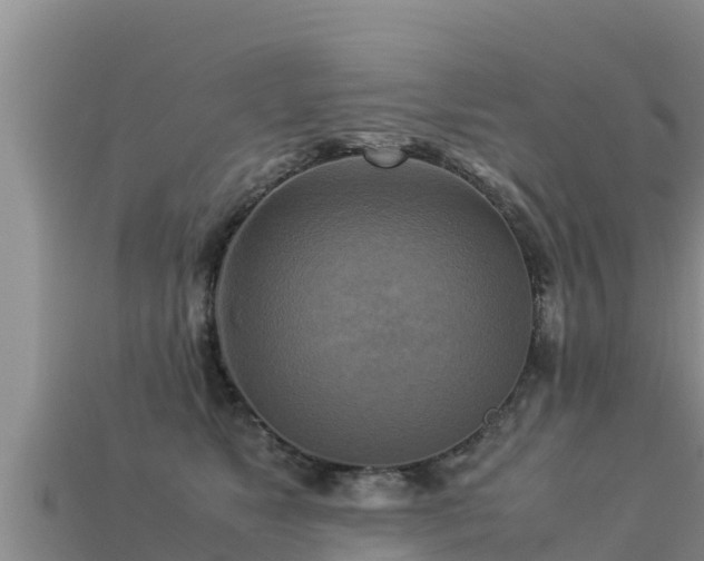 X0000113220517200909171557