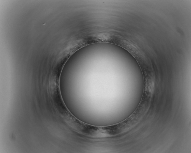 X0000113220518200909171557