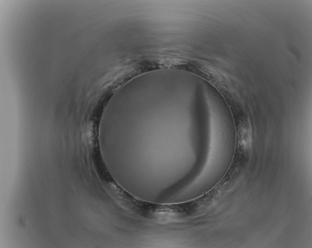 X0000113220519200909171557