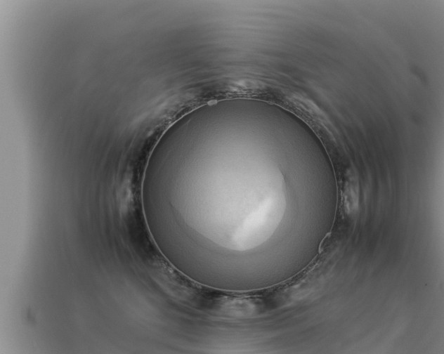 X0000113220520200909171557