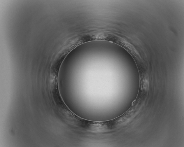 X0000113220521200909171557