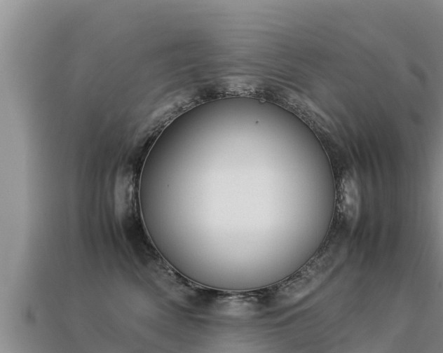 X0000113220522200909171557