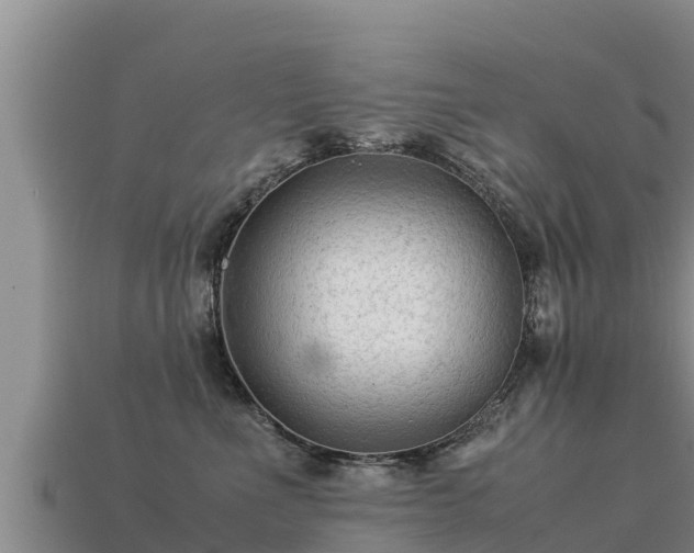 X0000113220523200909171557