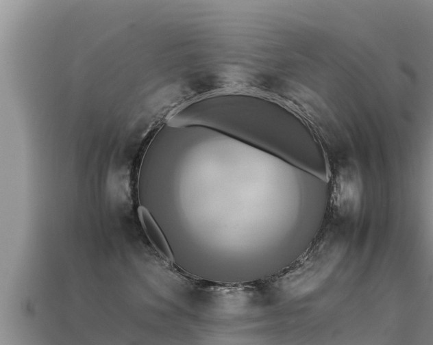 X0000113220524200909171557