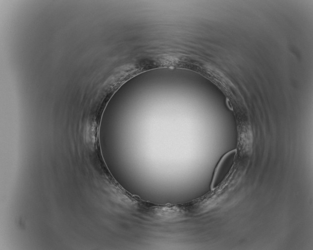 X0000113220525200909171557