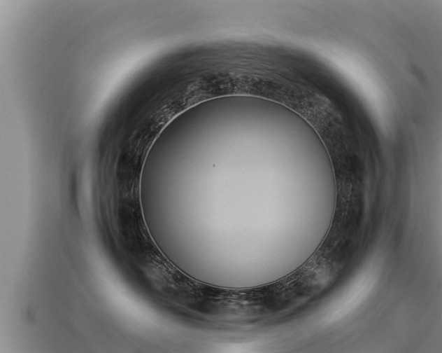 X0000113220526200909171557