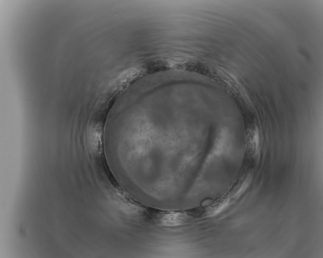 X0000113220527200909171557