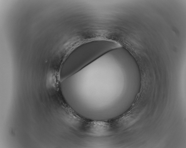 X0000113220528200909171557