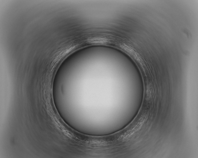 X0000113220529200909171557