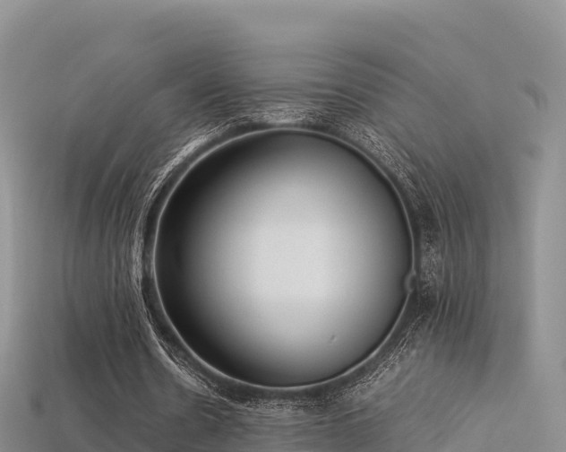 X0000113220530200909171557