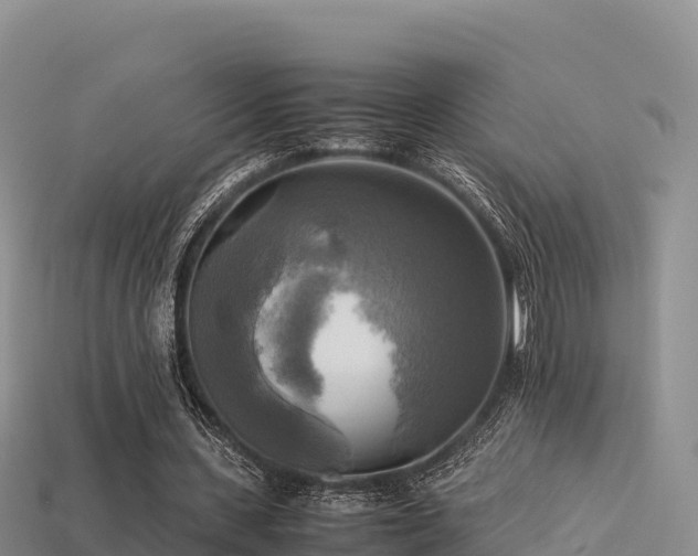 X0000113220531200909171557