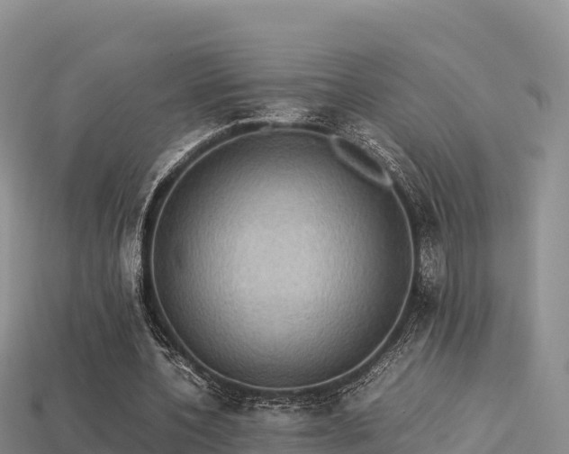 X0000113220532200909171557