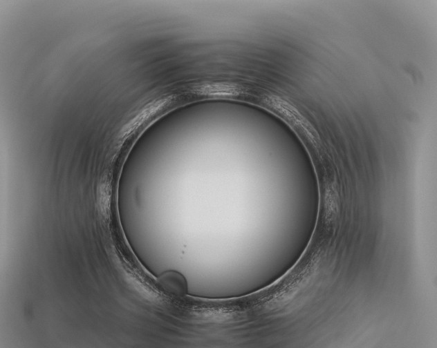 X0000113220533200909171557