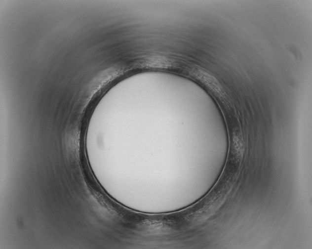 X0000113220534200909171557