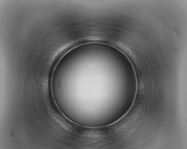 X0000113220535200909171557