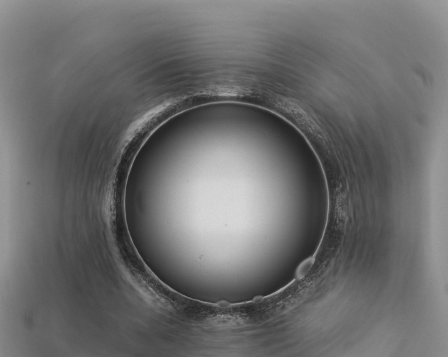 X0000113220536200909171557