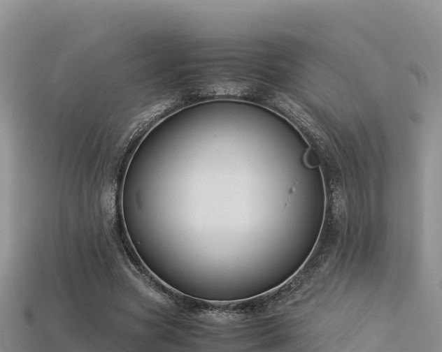 X0000113220537200909171557