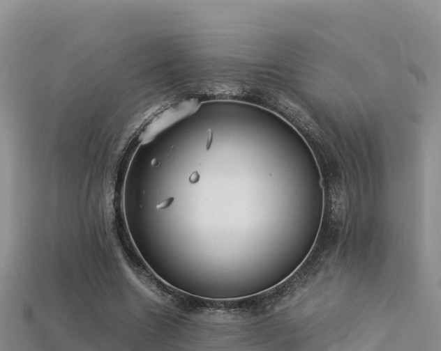 X0000113220538200909171557