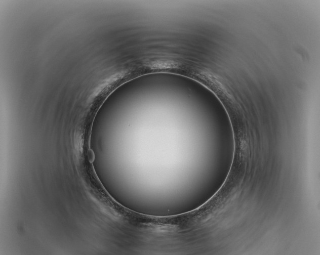 X0000113220539200909171557