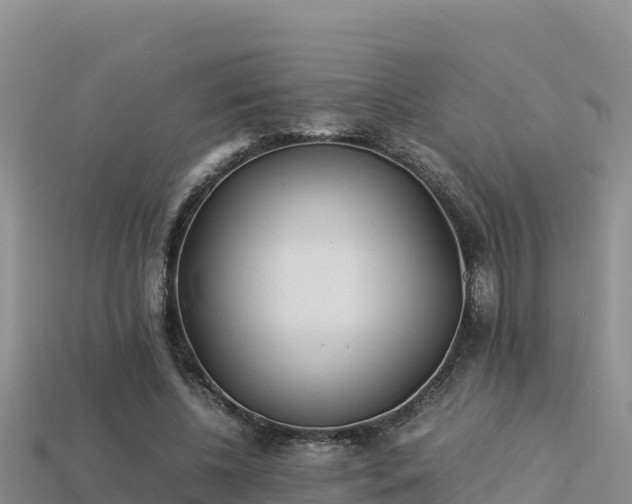 X0000113220540200909171557