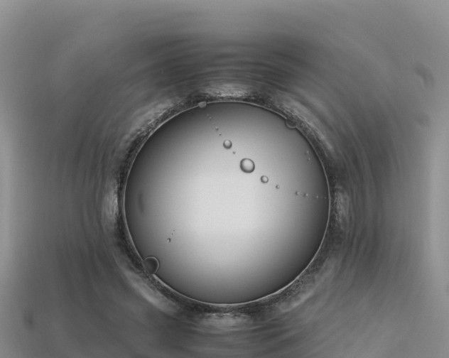 X0000113220541200909171557