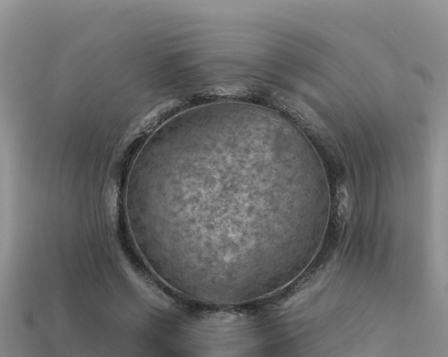 X0000113220542200909171557