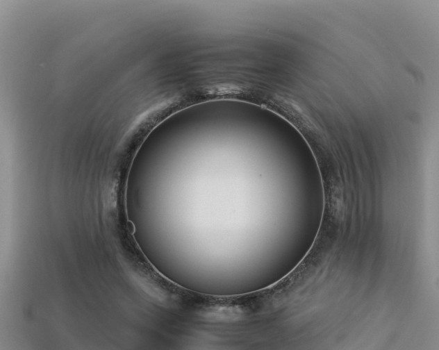 X0000113220543200909171557