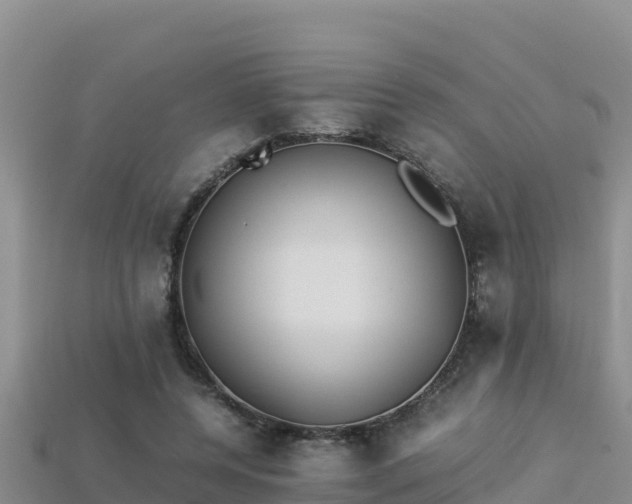 X0000113220544200909171557