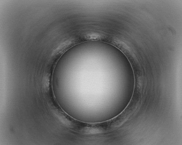 X0000113220545200909171557