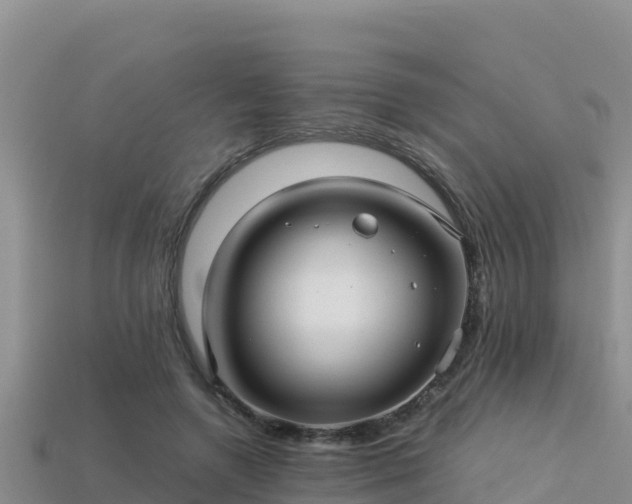 X0000113220546200909171557