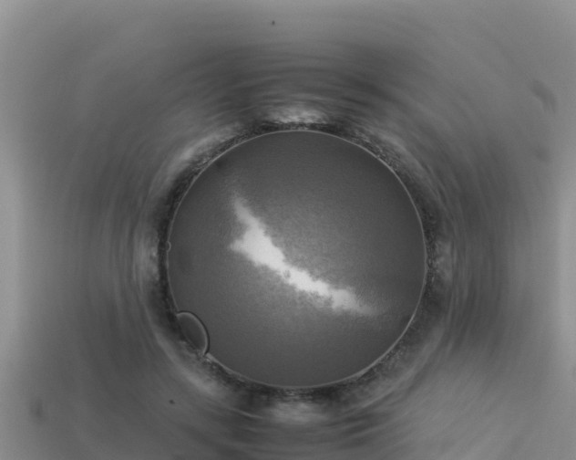 X0000113220547200909171557