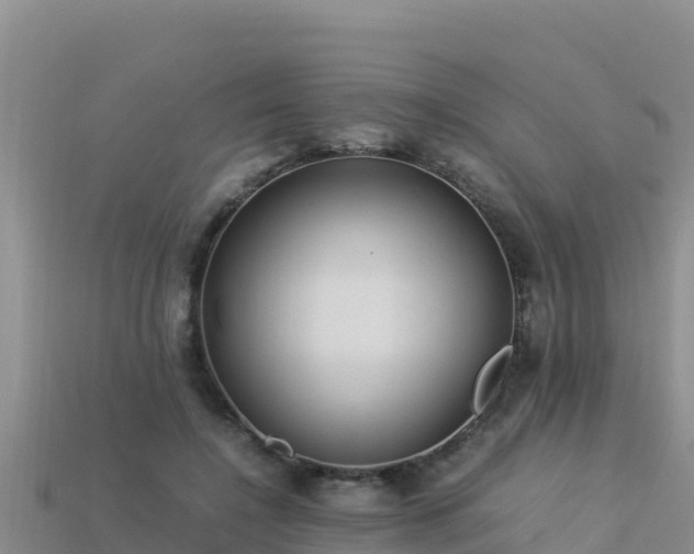 X0000113220548200909171557